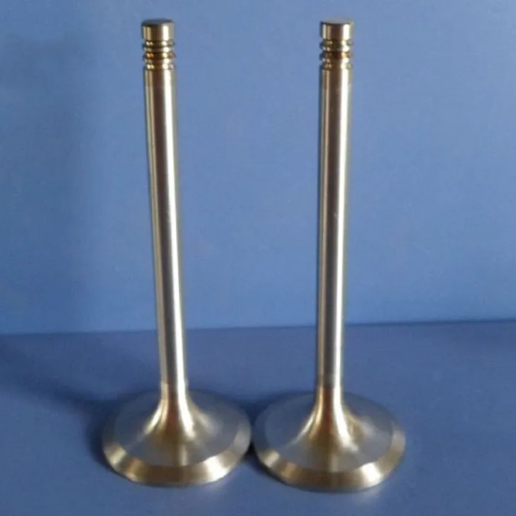 Vstupný a výstupný ventil motocykla pre Suzuki