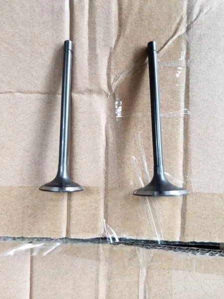 Sada výfukových ventilov pre motocykle pre TRAXX TX150GY-2