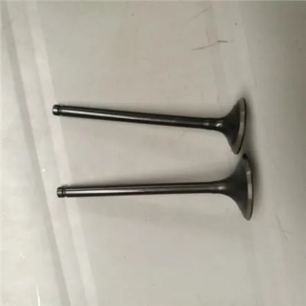 SHINERAY CHIEF XY250-5Ventil motora pre motocykle